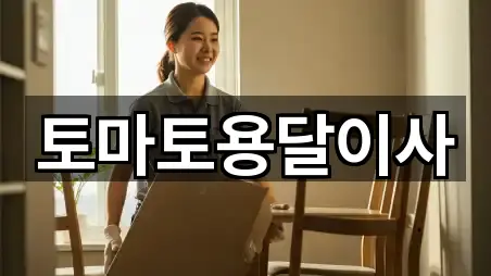 토마토용달이사