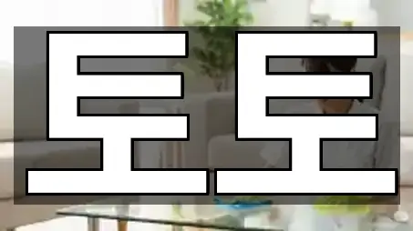 영월군 영월읍 청소 구글지도 5곳