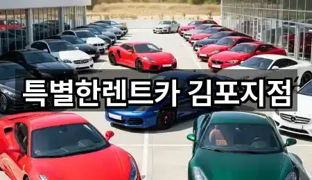 특별한렌트카 김포지점