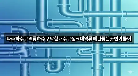 파주하수구역류하수구막힘배수구싱크대역류배관뚫는곳변기뚫어