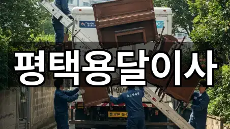 경기 평택시 이충동 용달이사 실시간 확인 5곳