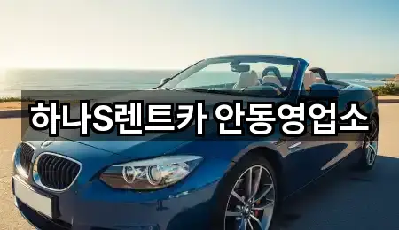 즉시 안내: 경상북도 안동 서후면 장기렌트카 2곳