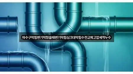 하수구막힘변기막혔을때변기막힘싱크대막힘수전교체고압세척누수