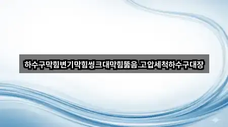 하수구막힘변기막힘씽크대막힘뚫음.고압세척하수구대장