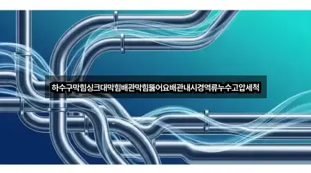 경기도 화성 능동 싱크대 막힘 구글지도 5곳