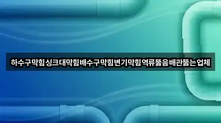하수구막힘싱크대막힘배수구막힘변기막힘역류뚫음배관뚫는업체