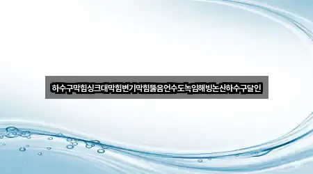 하수구막힘싱크대막힘변기막힘뚫음언수도녹임해빙논산하수구달인