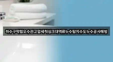 하수구막힘오수관고압세척싱크대역류누수탐지수도누수공사해빙