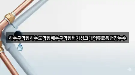 하수구막힘하수도막힘배수구막힘변기싱크대역류뚫음천장누수