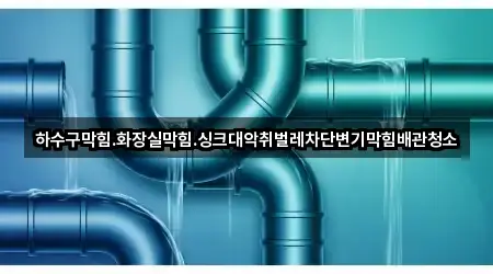 하수구막힘.화장실막힘.싱크대악취벌레차단변기막힘배관청소