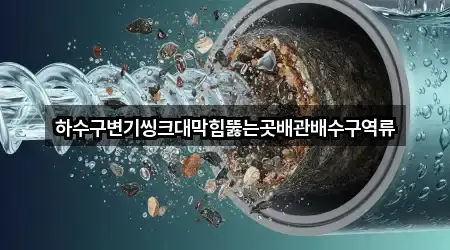 지금 인기 강원특별자치도 삼척 등봉동 하수구 역류 2곳