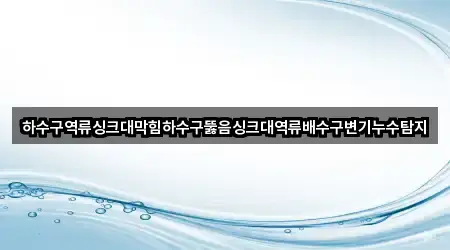 하수구역류싱크대막힘하수구뚫음싱크대역류배수구변기누수탐지
