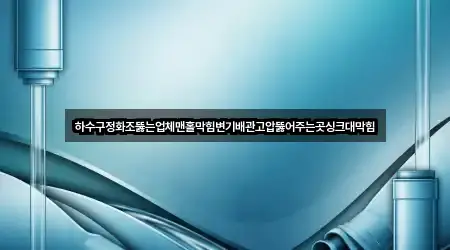 하수구정화조뚫는업체맨홀막힘변기배관고압뚫어주는곳싱크대막힘