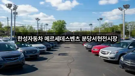 경기도 서현동 자동차전시장 5곳 리스트