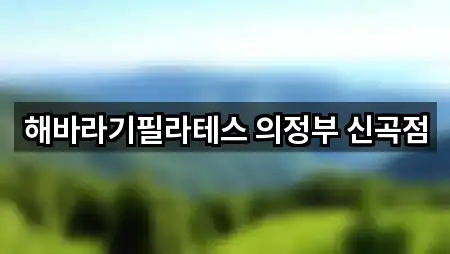 해바라기필라테스 의정부 신곡점