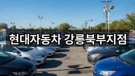 현대자동차 강릉북부지점