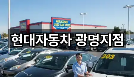 광명시 광명동 자동차전시장 전화 상담 4곳