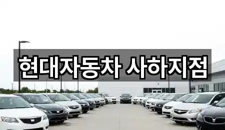 부산 사하구 괴정동 자동차전시장 1곳 지도로 확인