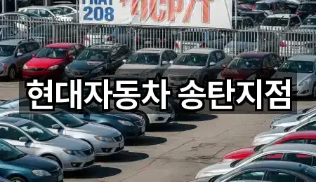 인기 경기도 평택시 서탄면 자동차전시장 2곳 모아보기