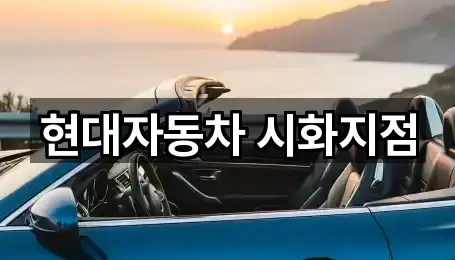 주변 경기 시흥시 정왕동 자동차전시장 5곳 위치 안내