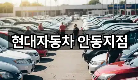 경상북도 와룡면 자동차전시장 연락 가능 2곳