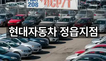 지금 인기 정읍시 신월동 자동차전시장 1곳