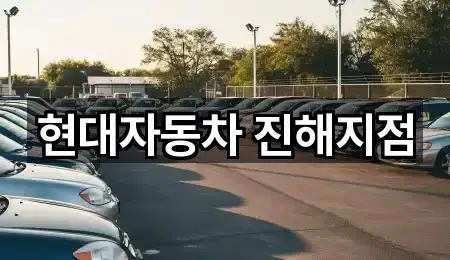 즉시 연결: 경상남도 창원 진해구 자은동 자동차전시장 1곳