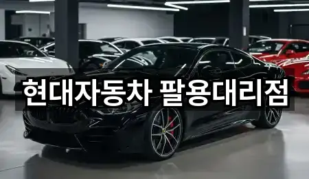 경상남도 동정동 자동차전시장 방문 많은 1곳
