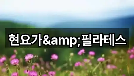 현요가&필라테스