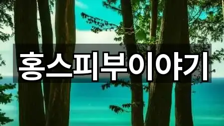 홍스피부이야기