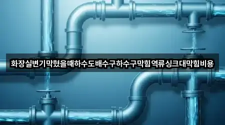 화장실변기막혔을때하수도배수구하수구막힘역류싱크대막힘비용