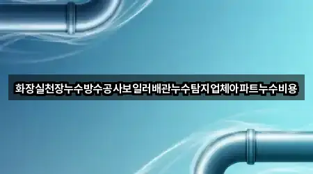 화장실천장누수방수공사보일러배관누수탐지업체아파트누수비용