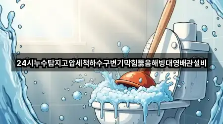 24시누수탐지고압세척하수구변기막힘뚫음해빙대영배관설비