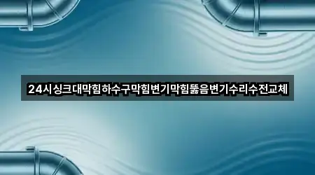 24시싱크대막힘하수구막힘변기막힘뚫음변기수리수전교체