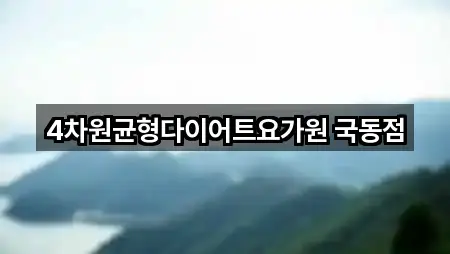 4차원균형다이어트요가원 국동점