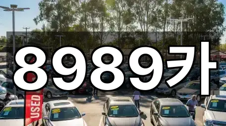 8989카