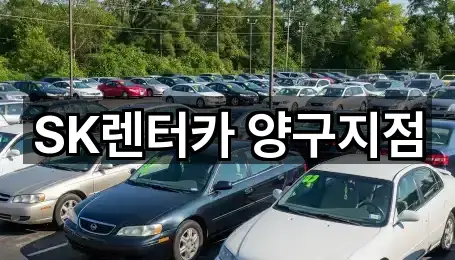 1곳 강원특별자치도 양구군 국토정중앙면 장기렌트카 거리순