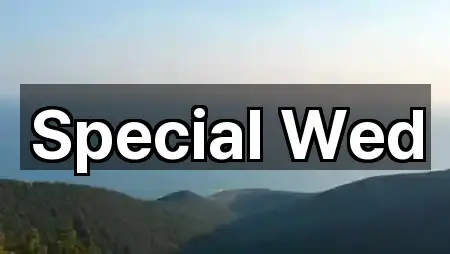 Special Wed